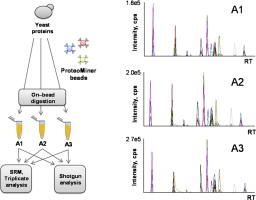 Reproducibility of combinatorial peptide ligand libraries for proteome capture evaluated by selected reaction monitoring