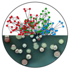 systems and synthetic biology of microbes